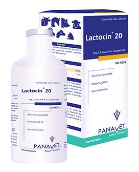 Lactocin 20 