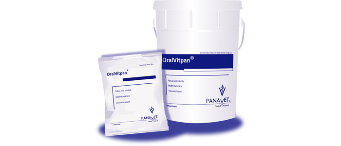 Logo Panavet
